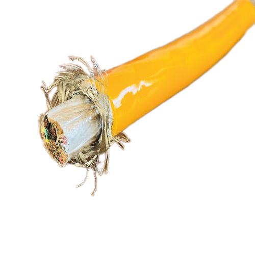 J9����|����վ����