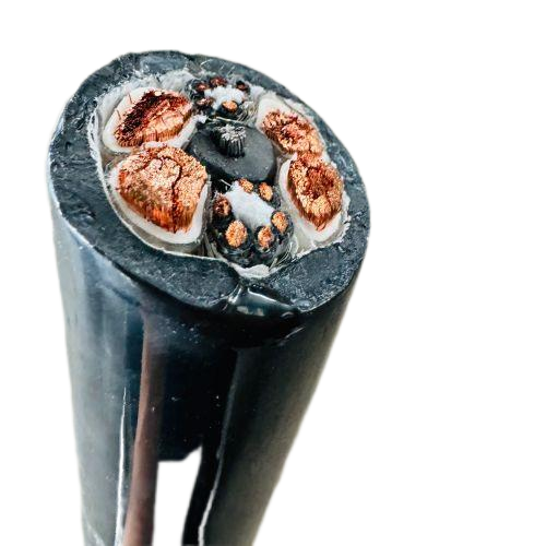 J9����|����վ����