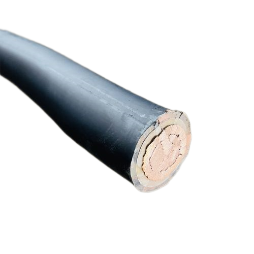 J9����|����վ����