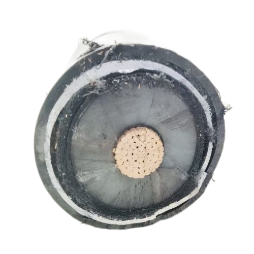 J9����|����վ����