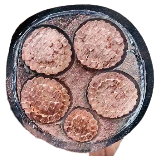 J9����|����վ����