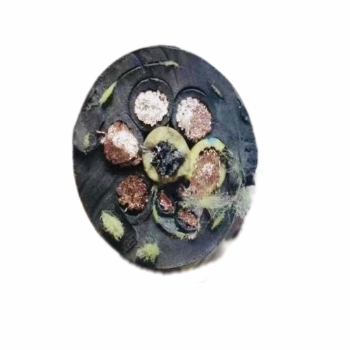 J9����|����վ����