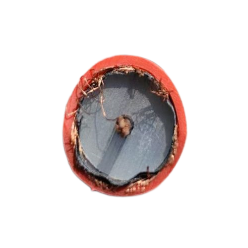 J9����|����վ����