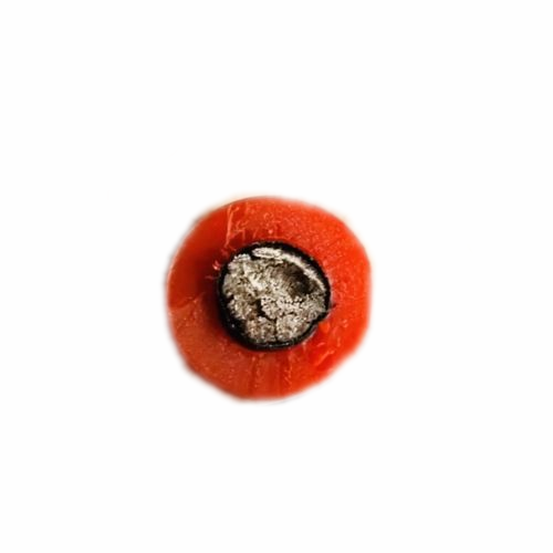 J9����|����վ����