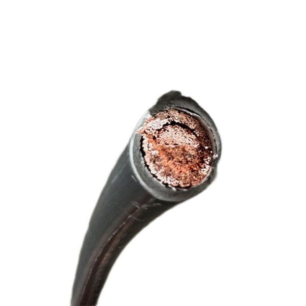 J9����|����վ����