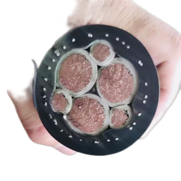 J9����|����վ����