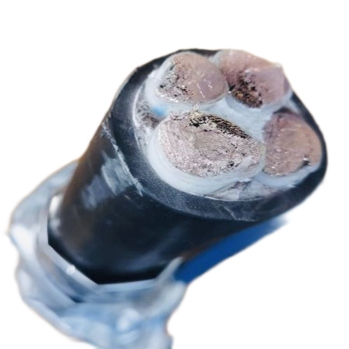 J9����|����վ����