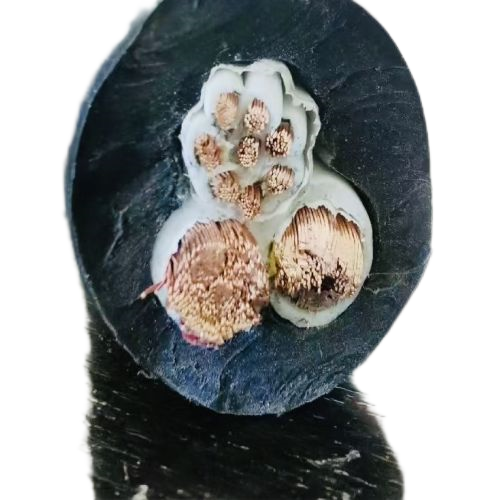 J9����|����վ����