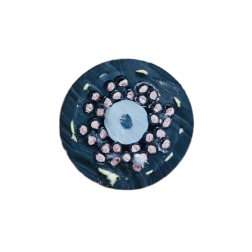 J9����|����վ����