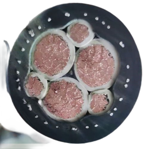 J9����|����վ����