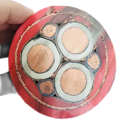 J9����|����վ����