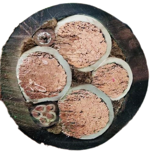 J9����|����վ����