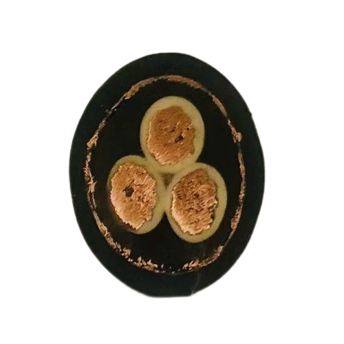 J9����|����վ����