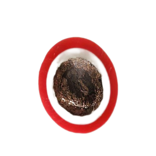 J9����|����վ����